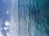 Great day of scuba diving in Key Largo with Rainbow Reef on snapper ledge tropical serenity 2025 02 14 r17510 1
