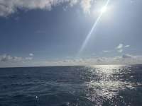 Great day of scuba diving in Key Largo with Rainbow Reef on spiegel grove tropical odyssey 2025 02 04 r17433 1