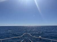 Great day of scuba diving in Key Largo with Rainbow Reef on spiegel grove tropical odyssey 2025 02 27 r17619 1