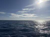 Great day of scuba diving in Key Largo with Rainbow Reef on uscgc duane tropical odyssey 2025 02 03 r17430 1