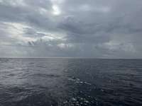 Great day of scuba diving in Key Largo with Rainbow Reef on uscgc duane tropical odyssey 2025 02 17 r17542 1