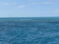 Great day of scuba diving in Key Largo with Rainbow Reef on christ statue tropical odyssey 2025 01 06 r17285 1
