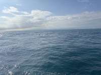 Great day of scuba diving in Key Largo with Rainbow Reef on christ statue tropical odyssey 2025 01 11 r17315 1