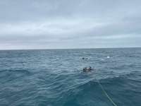 Great day of scuba diving in Key Largo with Rainbow Reef on christ statue tropical odyssey 2025 01 20 r17369 1