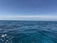 Great day of scuba diving in Key Largo with Rainbow Reef on christmastree cave tropical odyssey 2025 01 21 r17372 1