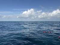 Great day of scuba diving in Key Largo with Rainbow Reef on nine channel tropical odyssey 2025 01 21 r17370 1