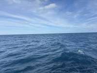 Great day of scuba diving in Key Largo with Rainbow Reef on spiegel grove tropical odyssey 2025 01 05 r17279 1