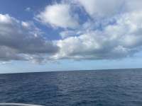 Great day of scuba diving in Key Largo with Rainbow Reef on spiegel grove tropical odyssey 2025 01 06 r17282 1