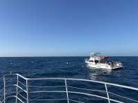 Great day of scuba diving in Key Largo with Rainbow Reef on spiegel grove tropical odyssey 2025 01 19 r17358 1