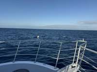 Great day of scuba diving in Key Largo with Rainbow Reef on uscgc bibb tropical odyssey 2025 01 08 r17290 1