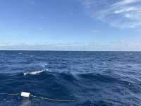 Great day of scuba diving in Key Largo with Rainbow Reef on uscgc duane tropical odyssey 2025 01 07 r17287 1