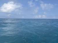 Great day of scuba diving in Key Largo with Rainbow Reef on wellwood tropical destiny 2025 01 18 r17356 1