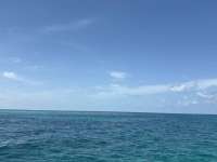 Great day of scuba diving in Key Largo with Rainbow Reef on banana patch tropical odyssey 2025 07 07 r18400 1