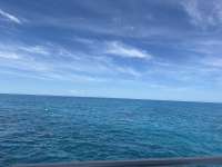 Great day of scuba diving in Key Largo with Rainbow Reef on christ statue tropical odyssey 2025 07 21 r18478 1