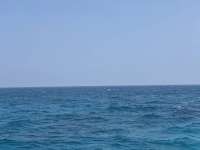 Great day of scuba diving in Key Largo with Rainbow Reef on city of washington tropical odyssey 2025 07 05 r18391 1