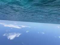 Great day of scuba diving in Key Largo with Rainbow Reef on eagle ray alley tropical legend 2025 07 29 r18531 1