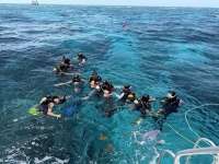 Great day of scuba diving in Key Largo with Rainbow Reef on molasses reef tropical destiny 2025 07 24 r18493 1