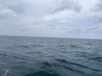 Great day of scuba diving in Key Largo with Rainbow Reef on north dry rocks tropical odyssey 2025 07 04 r18385 1