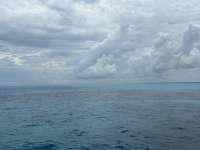 Great day of scuba diving in Key Largo with Rainbow Reef on north dry rocks tropical odyssey 2025 07 15 r18453 1