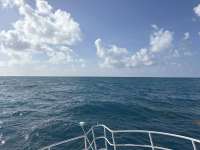 Great day of scuba diving in Key Largo with Rainbow Reef on spiegel grove tropical destiny 2025 07 19 r18464 1