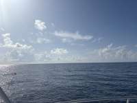 Great day of scuba diving in Key Largo with Rainbow Reef on spiegel grove tropical odyssey 2025 07 07 r18398 1