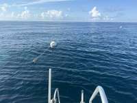 Great day of scuba diving in Key Largo with Rainbow Reef on spiegel grove tropical odyssey 2025 07 31 r18535 1