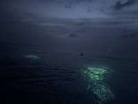 Great day of scuba diving in Key Largo with Rainbow Reef on benwood wreck tropical destiny 2025 06 28 r18353 1