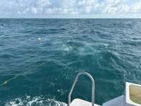 Great day of scuba diving in Key Largo with Rainbow Reef on benwood wreck tropical serenity 2025 06 18 r18270 1