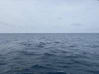 Great day of scuba diving in Key Largo with Rainbow Reef on conch wall north tropical serenity 2025 06 05 r18161 1