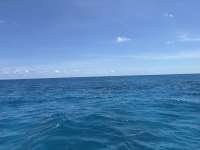 Great day of scuba diving in Key Largo with Rainbow Reef on drift french tropical destiny 2025 06 20 r18287 1