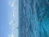 Great day of scuba diving in Key Largo with Rainbow Reef on eagle ray alley tropical destiny 2025 06 09 r18212 1