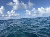 Great day of scuba diving in Key Largo with Rainbow Reef on eagle ray alley tropical destiny 2025 06 16 r18260 1