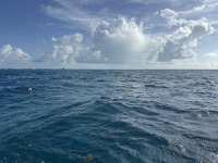 Great day of scuba diving in Key Largo with Rainbow Reef on five caves tropical adventure 2025 06 14 r18238 1