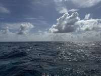 Great day of scuba diving in Key Largo with Rainbow Reef on hard bottom cave tropical adventure 2025 06 14 r18241 1
