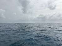 Great day of scuba diving in Key Largo with Rainbow Reef on hard bottom cave tropical destiny 2025 06 28 r18345 1