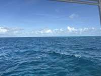 Great day of scuba diving in Key Largo with Rainbow Reef on logans run tropical destiny 2025 06 21 r18298 1