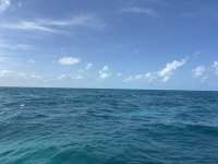 Great day of scuba diving in Key Largo with Rainbow Reef on minnow cave tropical adventure 2025 06 18 r18273 1