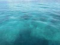 Great day of scuba diving in Key Largo with Rainbow Reef on north dry rocks tropical destiny 2025 06 07 r18187 1