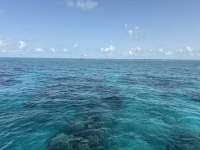Great day of scuba diving in Key Largo with Rainbow Reef on north star tropical adventure 2025 06 07 r18192 1
