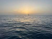 Great day of scuba diving in Key Largo with Rainbow Reef on north star tropical legend 2025 06 07 r18200 1