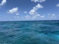 Great day of scuba diving in Key Largo with Rainbow Reef on north star tropical odyssey 2025 06 14 r18245 1