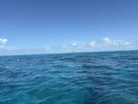 Great day of scuba diving in Key Largo with Rainbow Reef on north star tropical serenity 2025 06 10 r18215 1