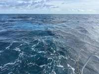 Great day of scuba diving in Key Largo with Rainbow Reef on north star tropical serenity 2025 06 11 r18219 1