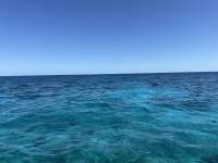 Great day of scuba diving in Key Largo with Rainbow Reef on aquarium tropical legend 2025 03 19 r17712 1