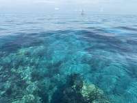 Great day of scuba diving in Key Largo with Rainbow Reef on aquarium tropical legend 2025 03 25 r17753 1