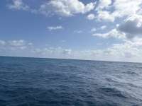 Great day of scuba diving in Key Largo with Rainbow Reef on benwood wreck tropical odyssey 2025 03 15 r17697 1