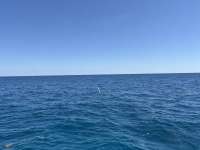 Great day of scuba diving in Key Largo with Rainbow Reef on benwood wreck tropical odyssey 2025 03 20 r17720 1