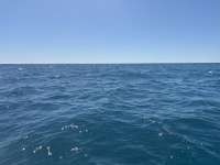 Great day of scuba diving in Key Largo with Rainbow Reef on benwood wreck tropical serenity 2025 03 11 r17675 1