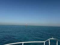 Great day of scuba diving in Key Largo with Rainbow Reef on eagle ray alley tropical destiny 2025 03 12 r17680 1