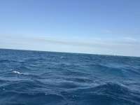Great day of scuba diving in Key Largo with Rainbow Reef on eagle ray alley tropical destiny 2025 03 17 r17701 1